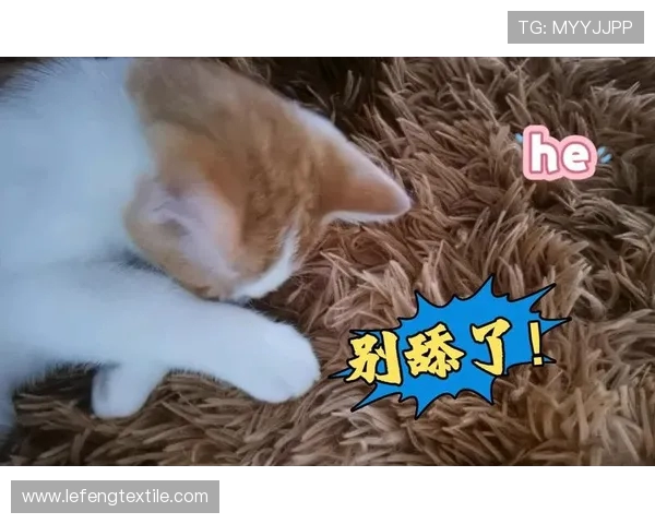 杈捐但杩柉閲屽叞鍗¤〃婕旇禌鎯婄幇绁炵骇涓€鏉嗭紒浼犲鑰佸皢鍐嶇幇鏁欑涔︾骇鑺卞紡鍑荤悆 杈捐但杩柉閲屽叞鍗¤〃婕旇禌鎯婄幇绁炵骇涓€鏉嗭紒浼犲鑰佸皢鍐嶇幇鏁欑涔︾骇鑺卞紡鍑荤悆